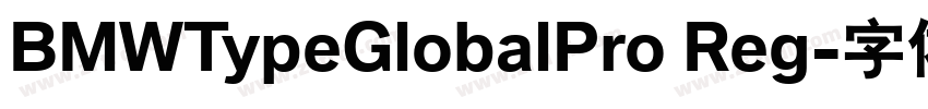 BMWTypeGlobalPro Reg字体转换 BMWTypeGlobalPro Reg字体转换